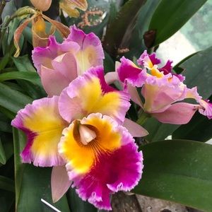 Meet your Posher, Katherine